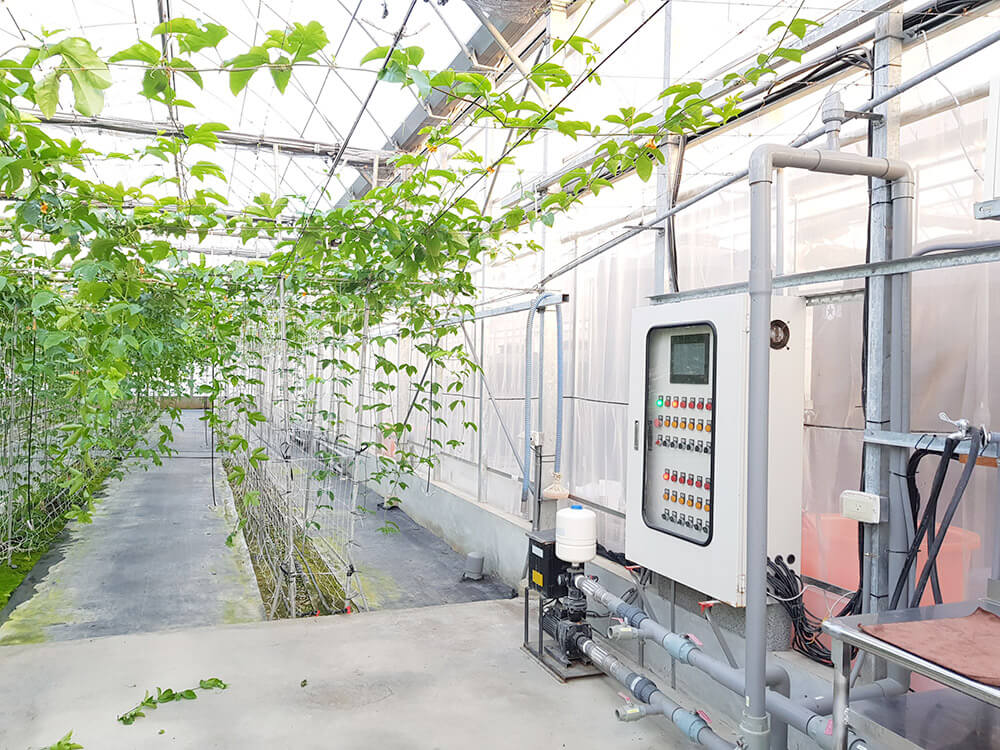 萬物生存必仰賴陽光、空氣、水