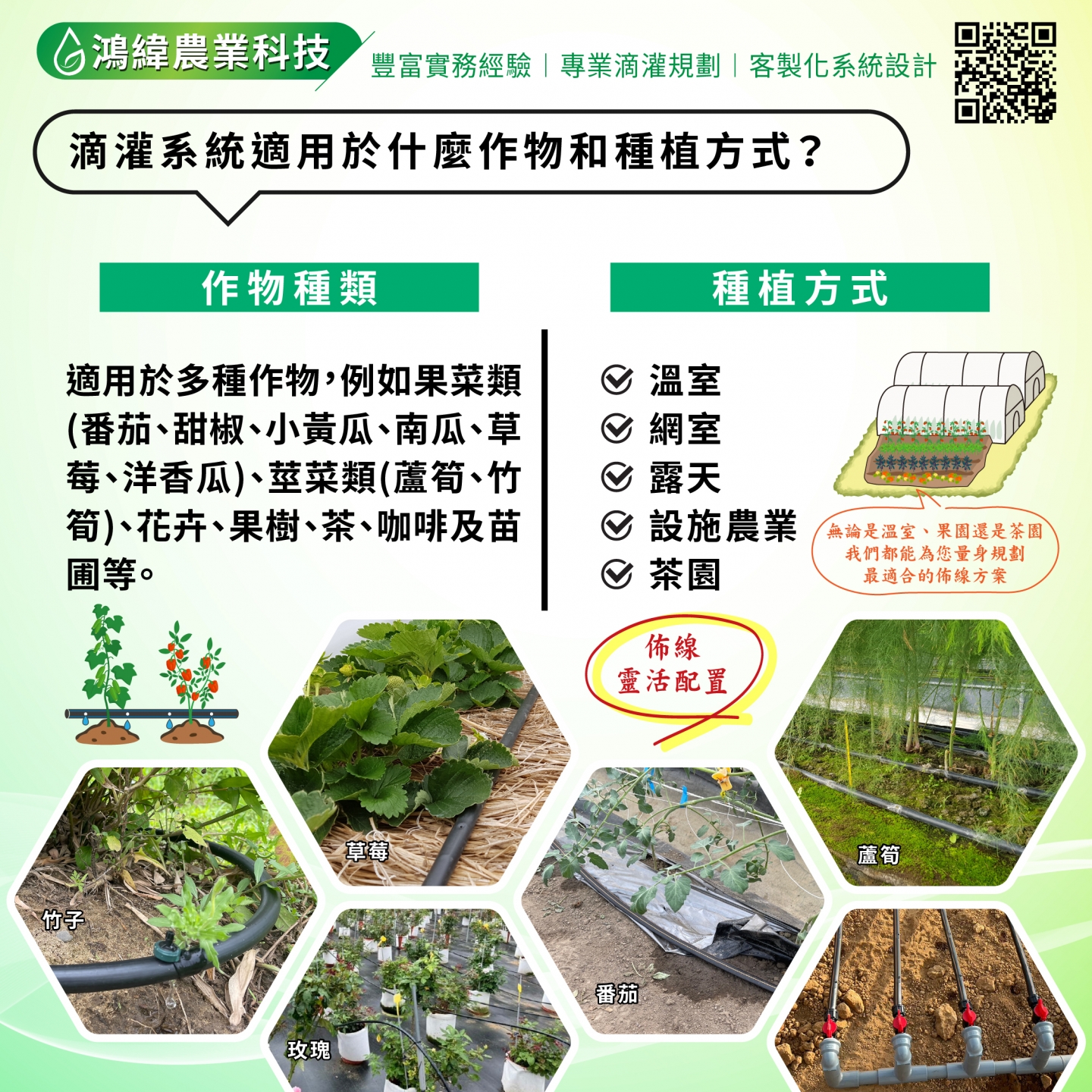 滴灌系統適用於什麼作物和種植方式?